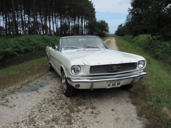 Ford Mustang 1966 convertible- DSCN2232.JPG