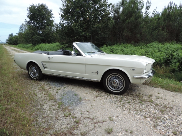 Ford Mustang 1966 convertible- DSCN2233.JPG
