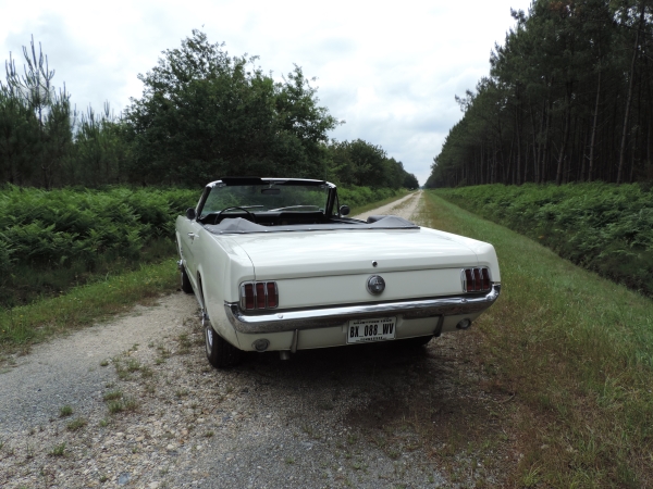 Ford Mustang 1966 convertible- DSCN2234.JPG