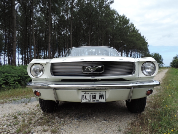 Ford Mustang 1966 convertible- DSCN2236.JPG