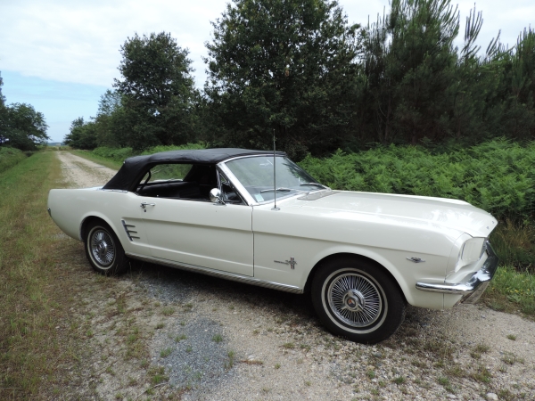 Ford Mustang 1966 convertible- DSCN2240.JPG
