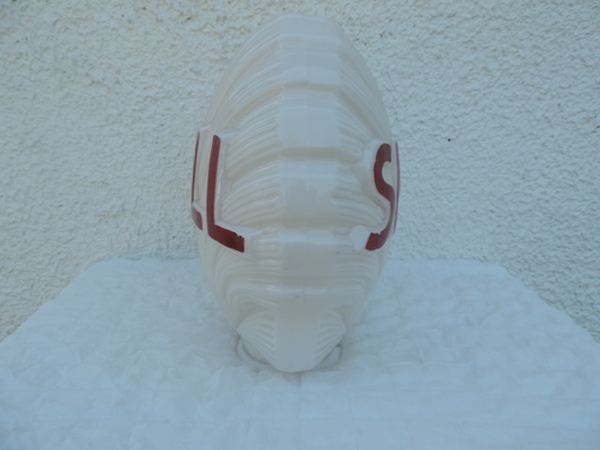Opaline Shell- DSCN5915.jpg