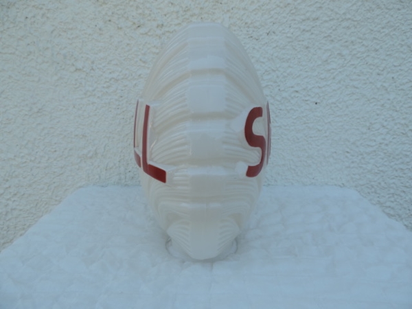 Opaline Shell- DSCN5917.jpg