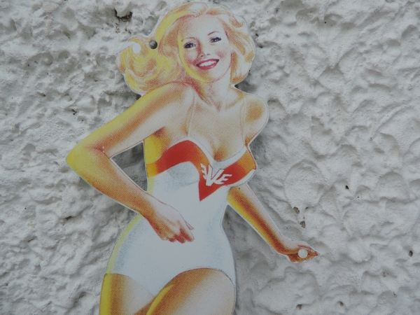 PIN UP VEEDOL- abcd1371.JPG
