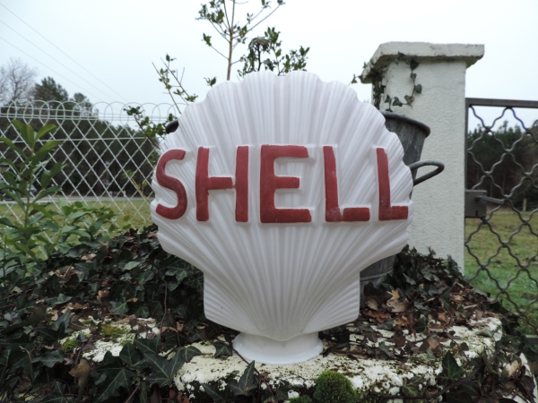 Opaline SHELL- efghi04022024-2_13.JPG