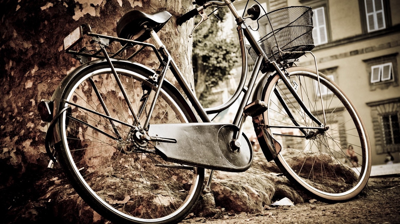 recherche vélos vintage